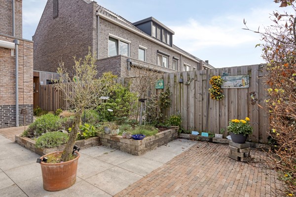 Fluwijn82693EAsGravenzande-37 (Aangepast).jpg